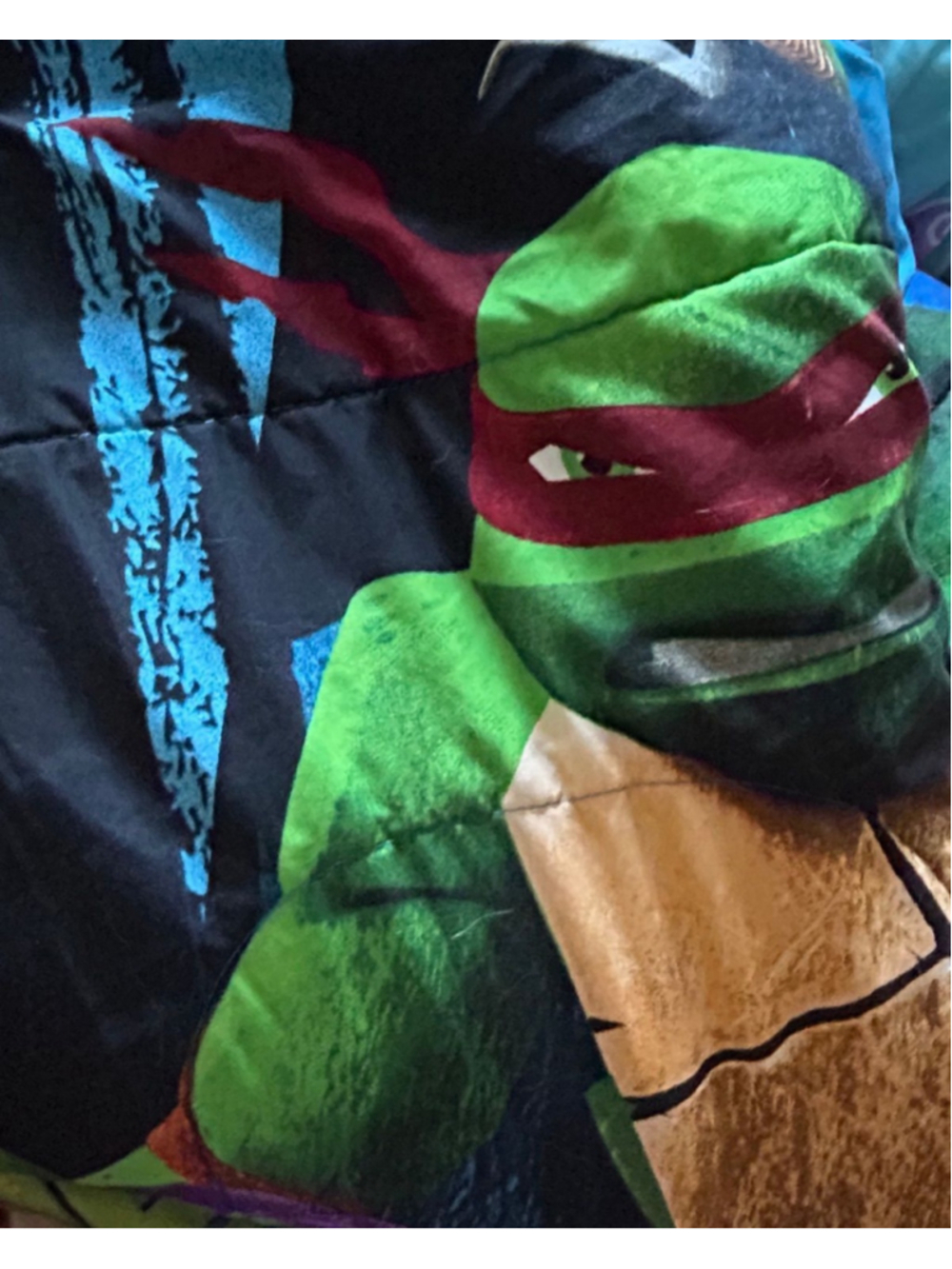 Teenage Mutant Ninja Turtles Twin Comforter